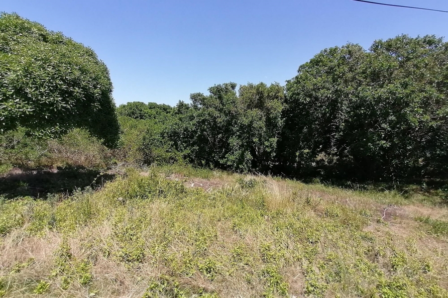 0 Bedroom Property for Sale in Paradise Beach Eastern Cape